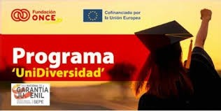 Programa UniDiversidad: Formación para el empleo y la inclusión universitaria