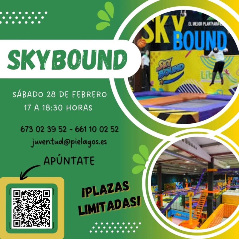 cartel promocional Pi&eacute;lagos skybound