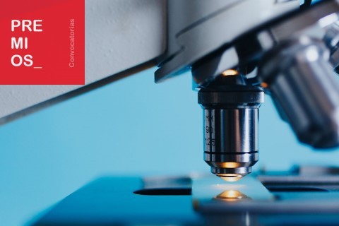 Premios Nacionales de Investigación para Jóvenes en 10 modalidades de la conocimiento