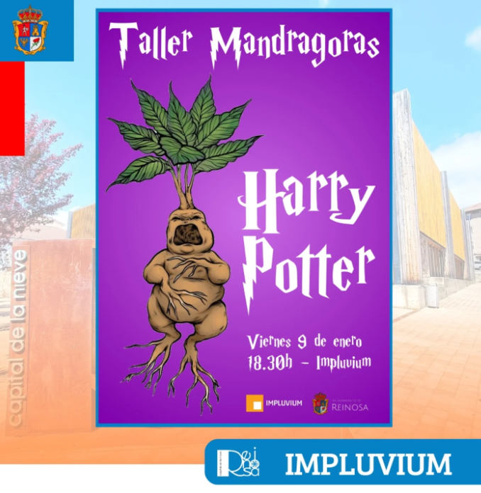 actividad en Reinosa, taller de MANDRAGORAS