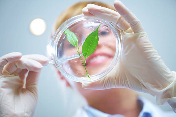 Imagen de empleo Verde. Green skills o habilidades verdes: competencias ligadas a la sostenibilidad empresarial .