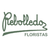 logotipo REBOLLEDO
